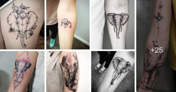 Lee más sobre el artículo Las 21 mejores ideas de tatuajes de elefantes pequeños